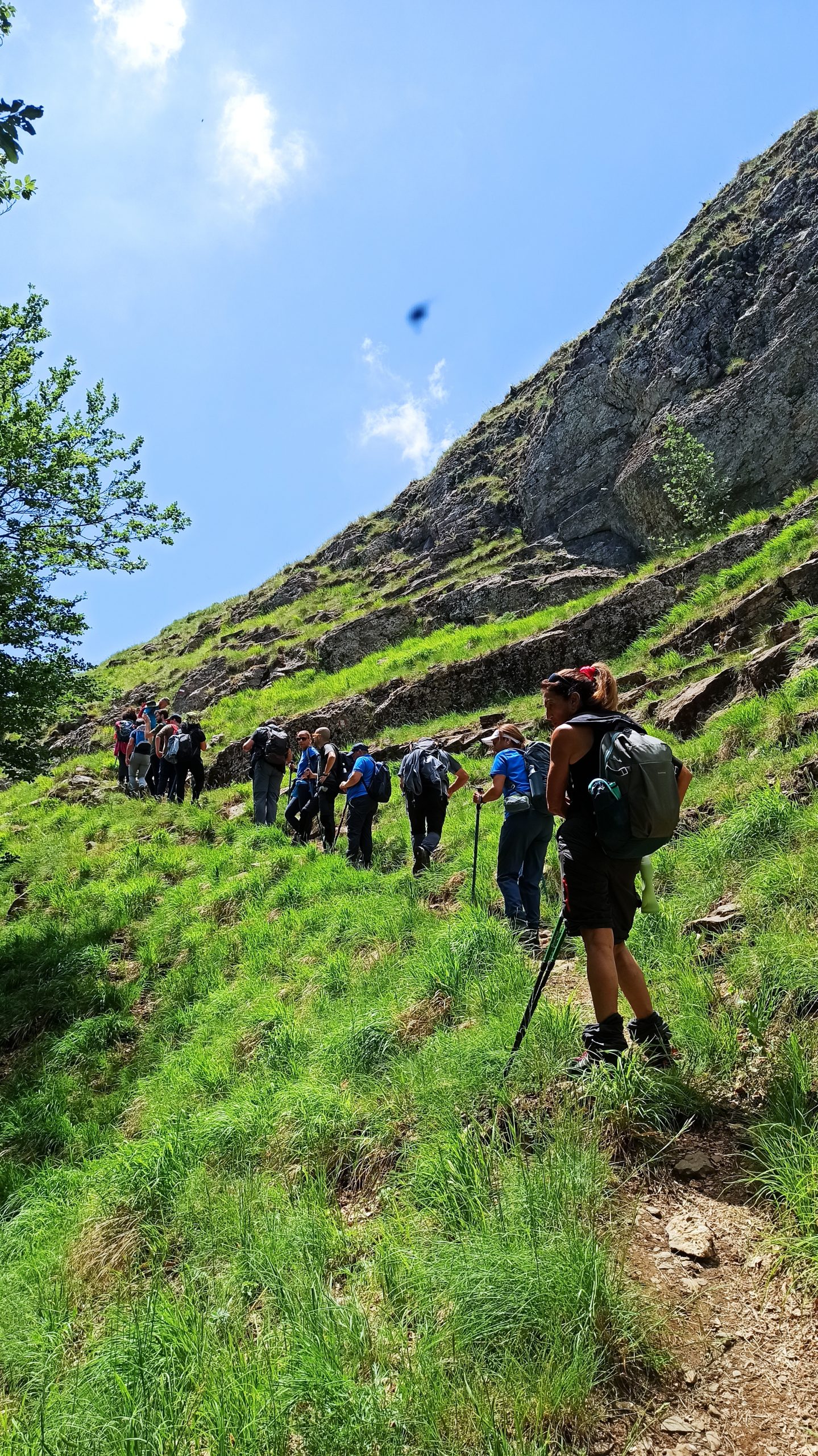 Il Trend Delle Escursioni Guidate In Natura Radura Trekking