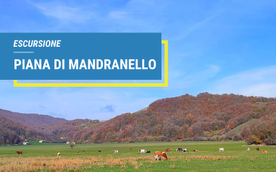 Escursione Piana di Mandranello Padula (sa)